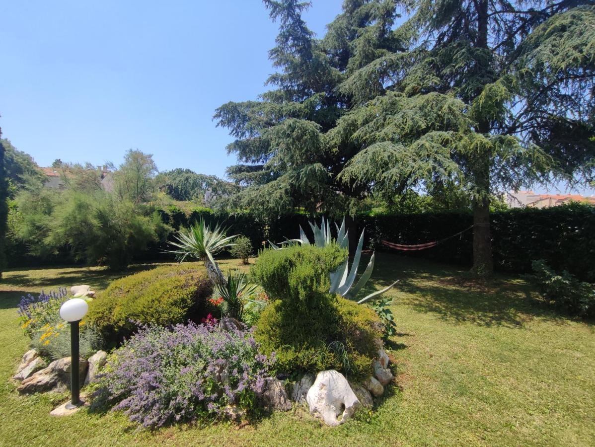 Norma Appartement *